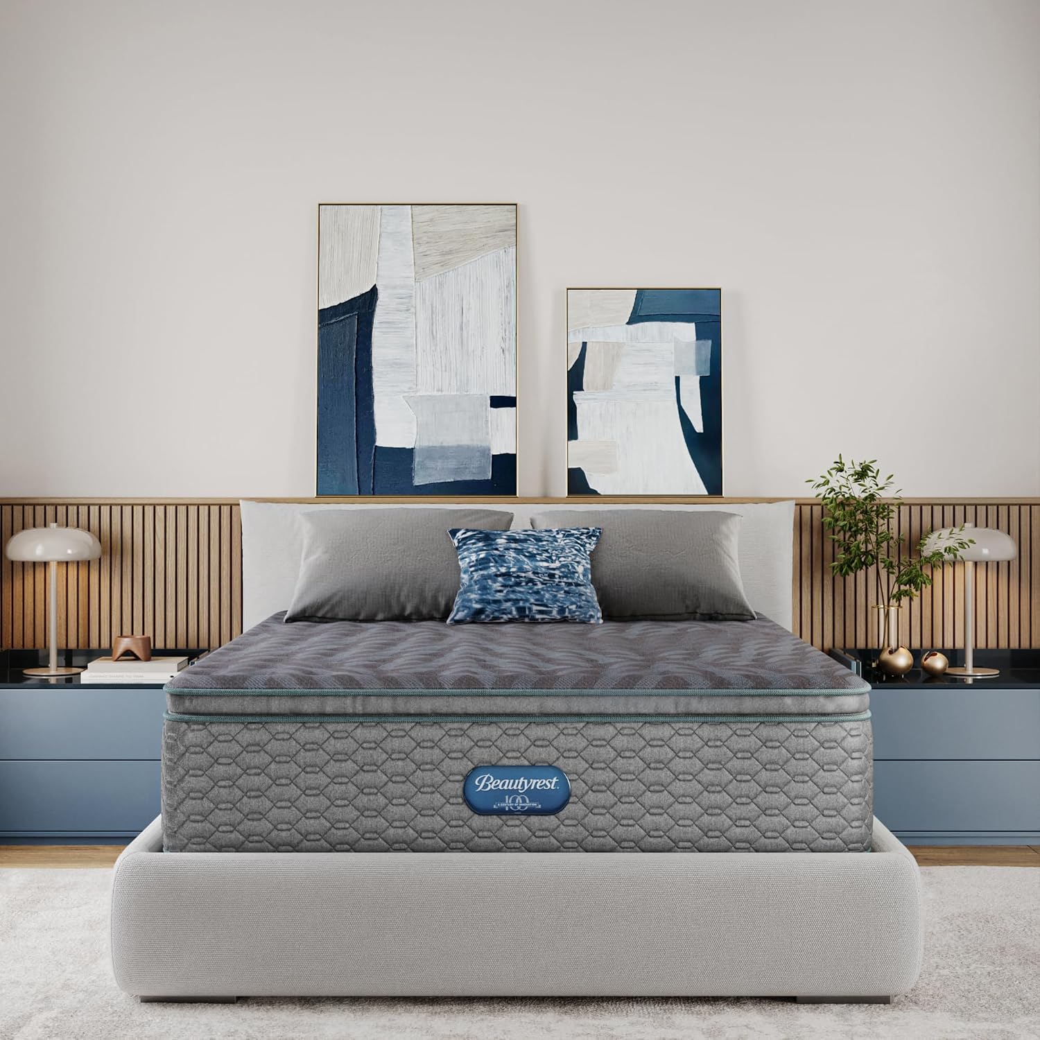 Beautyrest Days End Medium Fir – Tech Queen Bewertung und Preis