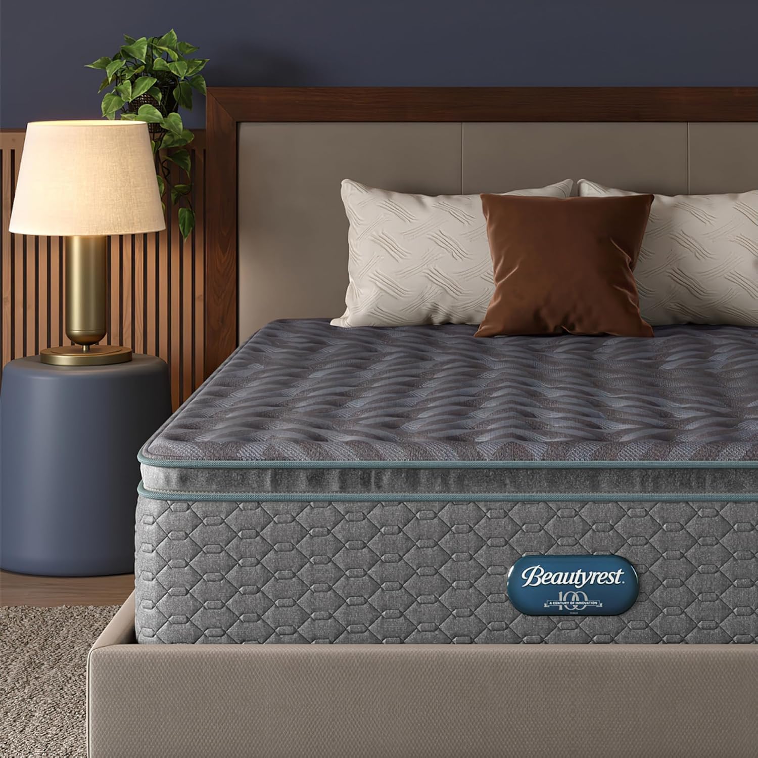 Beautyrest Days End Medium Fir – Tech Queen Bewertung und Preis